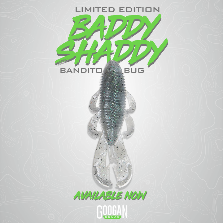 Limited Edition Bandito Bug - [Baddy Shaddy]